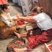 I Mercatini della Terra e del Mare di Torre Guaceto