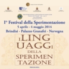 Festival della Sperimenta​zione. 4° Evento 24 aprile