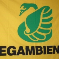 LEGAMBIENTE. Considerazioni sullo SNIM