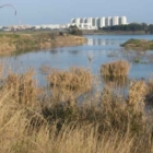 Cillarese forse fruibile