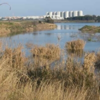 Cillarese forse fruibile