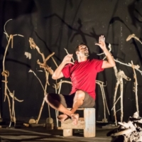 ASPETTANDO IL VENTO E FESTA DELLE OASI WWF 2014 