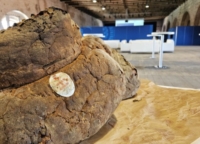  Al FIET DI VENEZIA sar� protagonista il Pane di Altamura