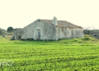  PRESENTAZIONE DEL PROGETTO: �PROGRAMMA ORGANICO DI RIGENERAZIONE DEL PAESAGGIO RURALE SALENTINO�