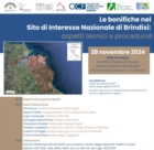 BRINDISI : IL FUTURO DEL SITO D'INTERESSE NAZIONALE