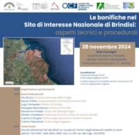 BRINDISI : IL FUTURO DEL SITO D'INTERESSE NAZIONALE