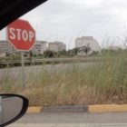 ERBACCE AGLI INCROCI