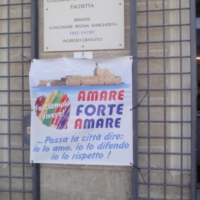 AMARE FORTE A MARE : buone nuove...si spera