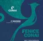 GIORNALISMO AMBIENTALE GIOVANE : CONCORSO 