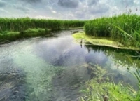 PUGLIA : LEGAMBIENTE CHIEDE UN CONFRONTO SU STRATEGIA ACQUA