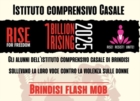 BRINDISI : I.C. CASALE : "ONE BILLION RISING"