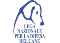  BARI :  CANDEGGINA IN STRADA PER AVVELENARE I CANI