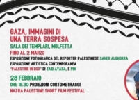 MOLFETTA : 
