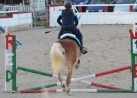 CISTERNINO : SPORT EQUESTRI