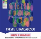 OSTUNI : "BANCA BOSCO"