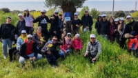 OSTUNI : I GIOVANI SOCI BANCA CREDITO COOPERATIVO PIANTANO ALBERI