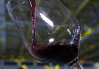 PUGLIA : VINI ROSSI : CONFERMATA RIDUZIONE RESE