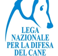 CORATO : IMPEDIRE LA SAGRA DELLA CARNE DI CAVALLO