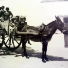 TORRE GUACETO : NUOVO APPUNTAMENTO