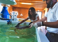 BRINDISI : TORRE GUACETO : FESTIVALMAR DI WORLDRISE