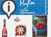 BRINDISI : ANIMAZIONE PRESSO IL TERMINAL CROCIERE