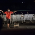 Mercoledì 13 agosto - Festa del dono 