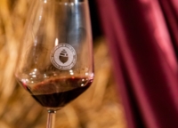 MANDURIA : IL PRIMITIVO ACCENDE L'ESTATE 