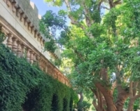 CAROVIGNO : CASTELLO : LA NOTTE DELLE STELLE