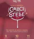 BRINDISI : CALICI SOTTO LE STELLE