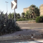 "IL NOSTRO CARO" VERDE PUBBLICO