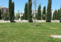 BRINDISI : FORZA ITALIA SU PROGETTO 