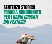 PUGLIA : BIODIVERSITA' : PROVVEDIMENTO FRANCIA : NUOVO MODELLO AGRICOLO