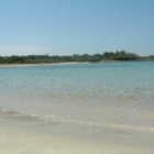 COSTITUITO COMITATO CONTRO IMPIANTO COMPOSTAGGIO A SERRANOVA