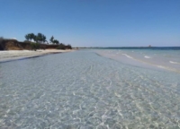 BARI E BRINDISI : TRA LE METE TURISTICHE PIU' AMBITE 