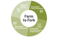 PUGLIA : AGRICOLTURA : NUOVA STRATEGIA