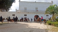 BRINDISI : APPIA DAY A CAVALLO