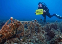 BRINDISI : TORRE GUACETO : MONITORAGGIO