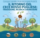 OSTUNI : IL RITORNO DEL CECE ROSSO PUGLIESE