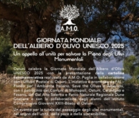 OSTUNI : GIORNATA MONDIALE DELL'ULIVO