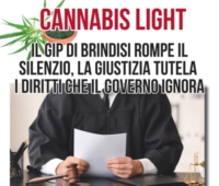BRINDISI : CANNABIS LIGHT : IL TRIBUNALE SOLLEVA QUESTIONE LEGITTIMITA' 