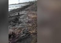 BRINDISI : LEGAMBIENTE SU ATTI VANDALICI A PUNTA DEL SERRONE