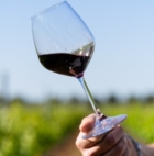 FASANO : HAPPETITO CELEBRA IL TERRITORIO