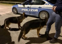 BRINDISI : UNA VOLANTE DELLA QUESTURA SALVA DUE CANI