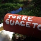 ESITO MANIFESTAZIONE DI PROTESTA per TORRE GUACETO