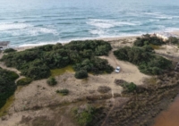 PORTO CESAREO : AUTO SUL CORDONE DUNARE AREA PROTETTA