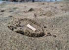 PUGLIA : LEGAMBIENTE : SPIAGGE E FONDALI PULITI