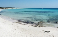 BRINDISI : LEGAMBIENTE : SPIAGGE PULITE A LIDO GIANCOLA