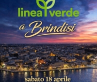 BRINDISI : 