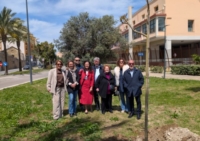 BRINDISI : PARI OPPORTUNITA' : MESSA A DIMORA 