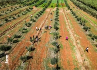 PUGLIA : GIORNATA MONDIALE DELL�AMBIENTE (5 GIUGNO)
